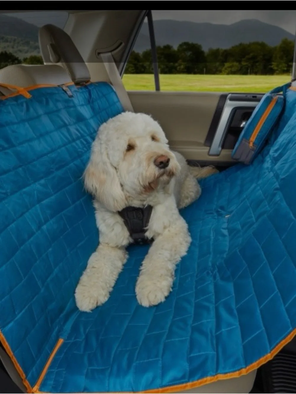 Kurgo Blue Quilted Hammock-Style Dog Car Seat Cover
